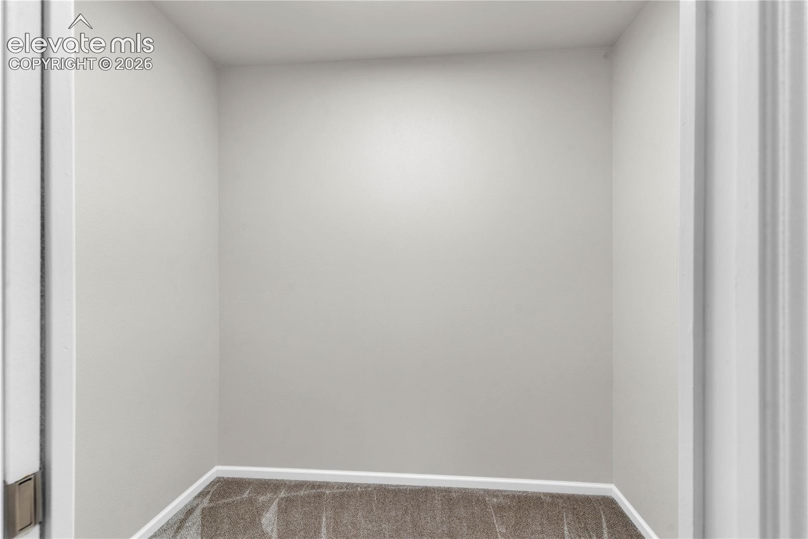 Enclosed storage area featuring neutral wall paint and wall-to-wall carpeting