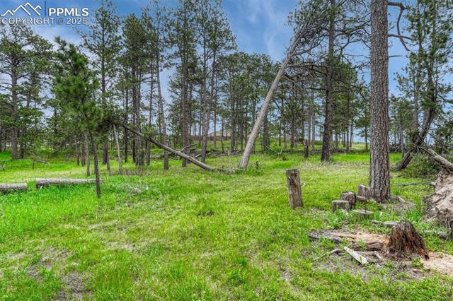 Photo 7 of 000 Wyandott Drive, Colorado Springs
