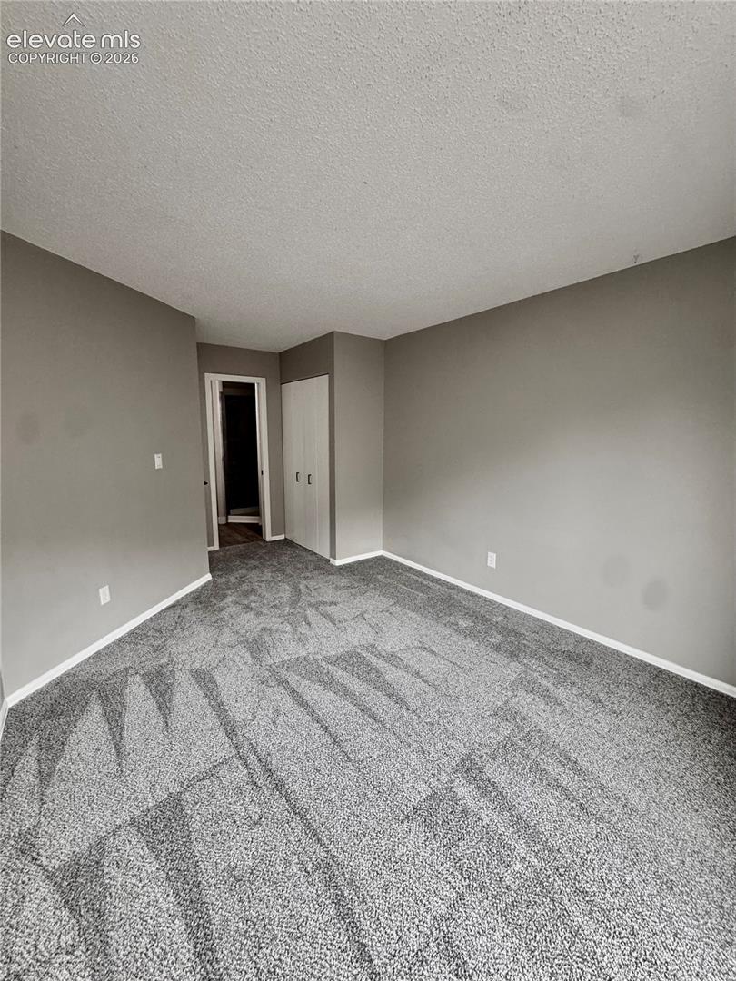 Neutral gray wall paint, patterned carpet, white baseboards, and a built-in closet with white bifold doors