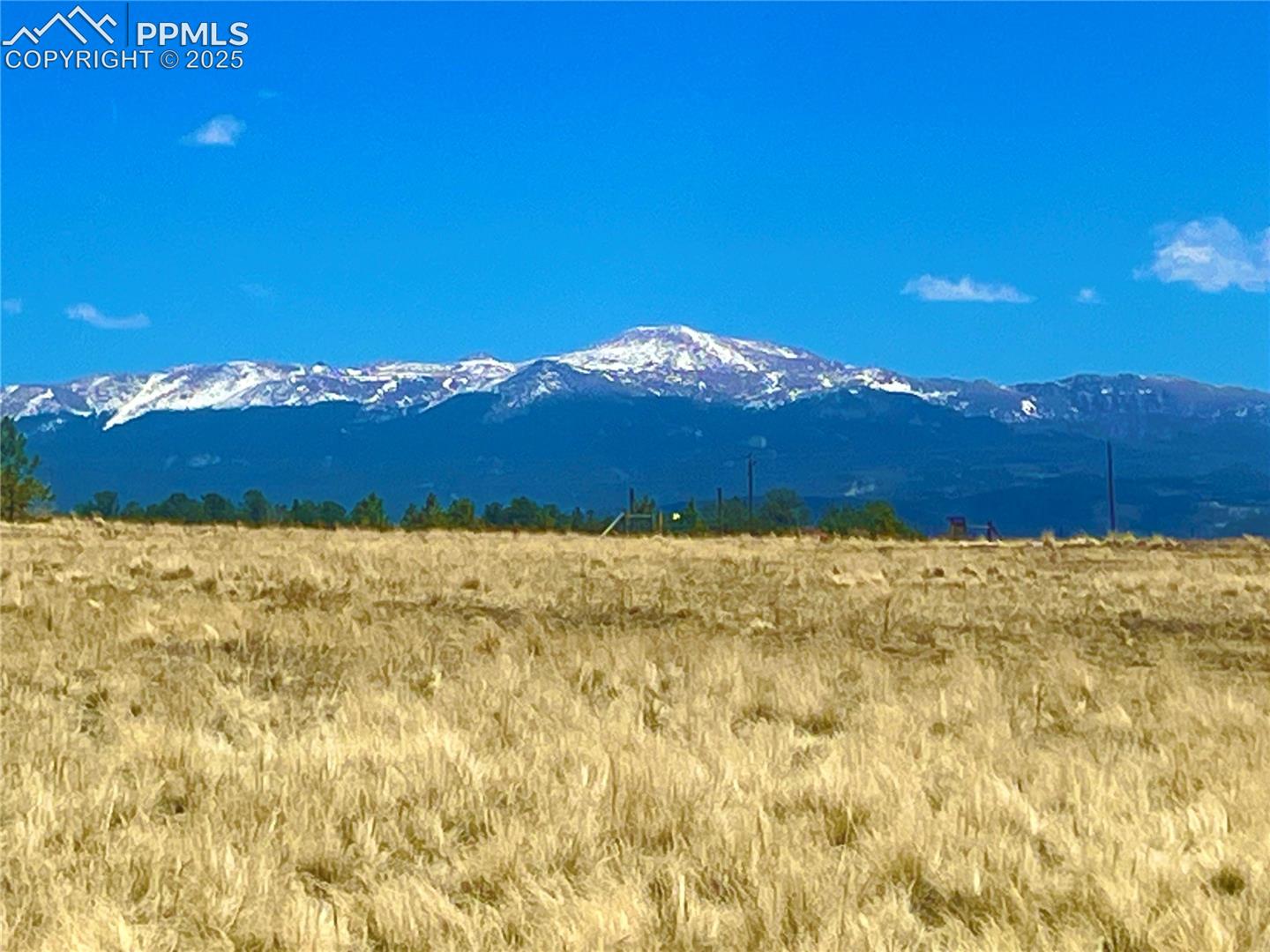 90 Meadow Ln, Guffey, CO 80820