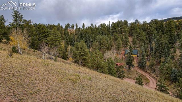 Photo 6 of 65 Portland Drive, Cripple Creek