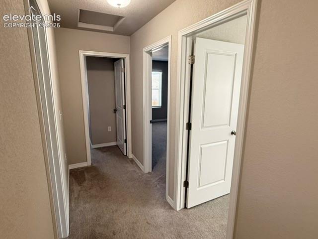 Carpeted hallway with neutral wall tones, white trim, and panel doors
