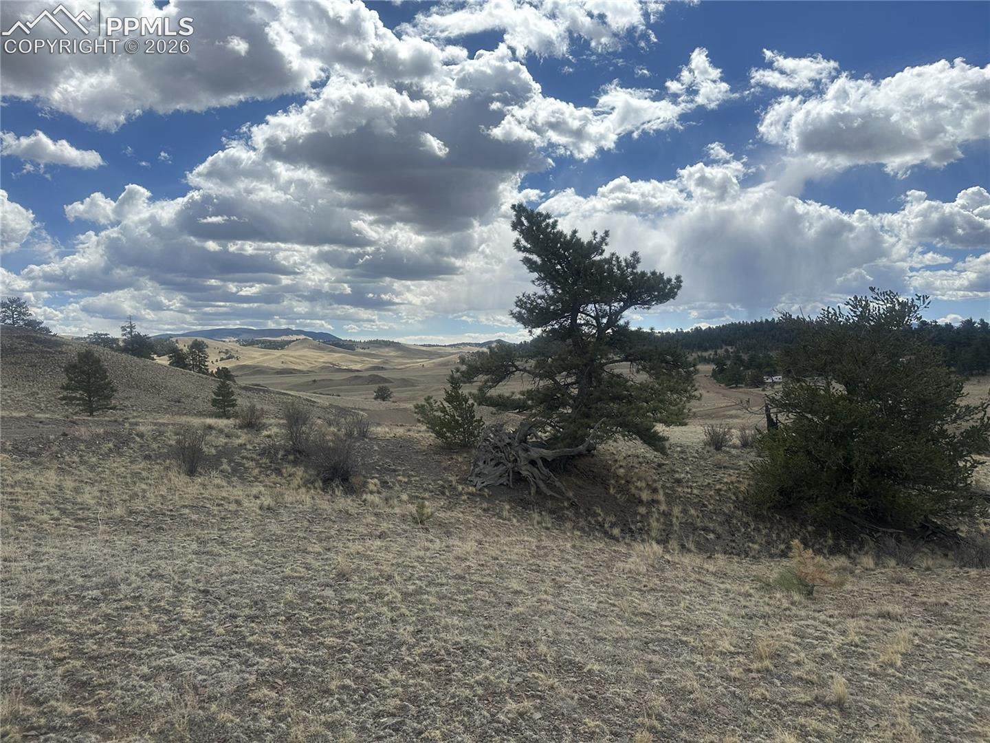 Photo 26 of L 15 & 16 Chickadee Drive, Hartsel