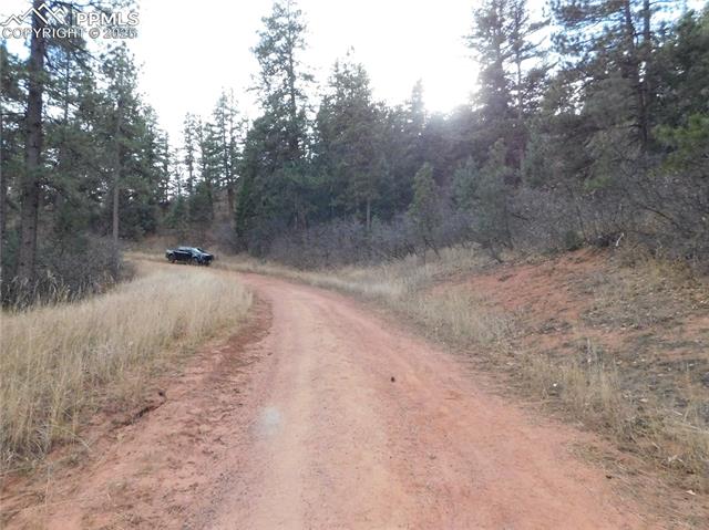 Photo 32 of 8055 Acoma Drive, Larkspur