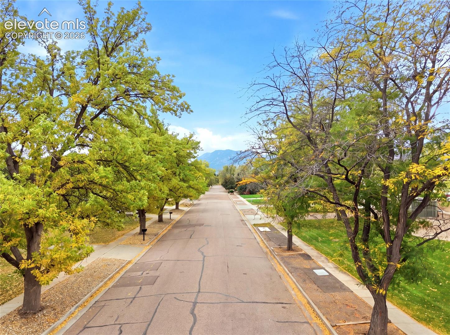 Mature trees line the street.