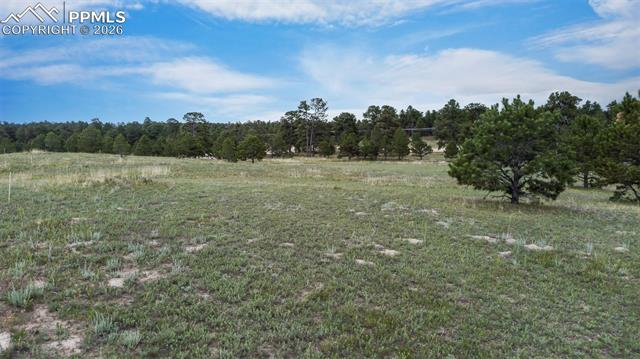 Photo 8 of 11809 Flap Jack Lane, Colorado Springs