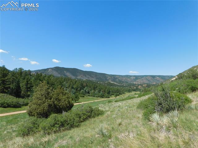 Photo 19 of 4668 Comanche Drive, Larkspur