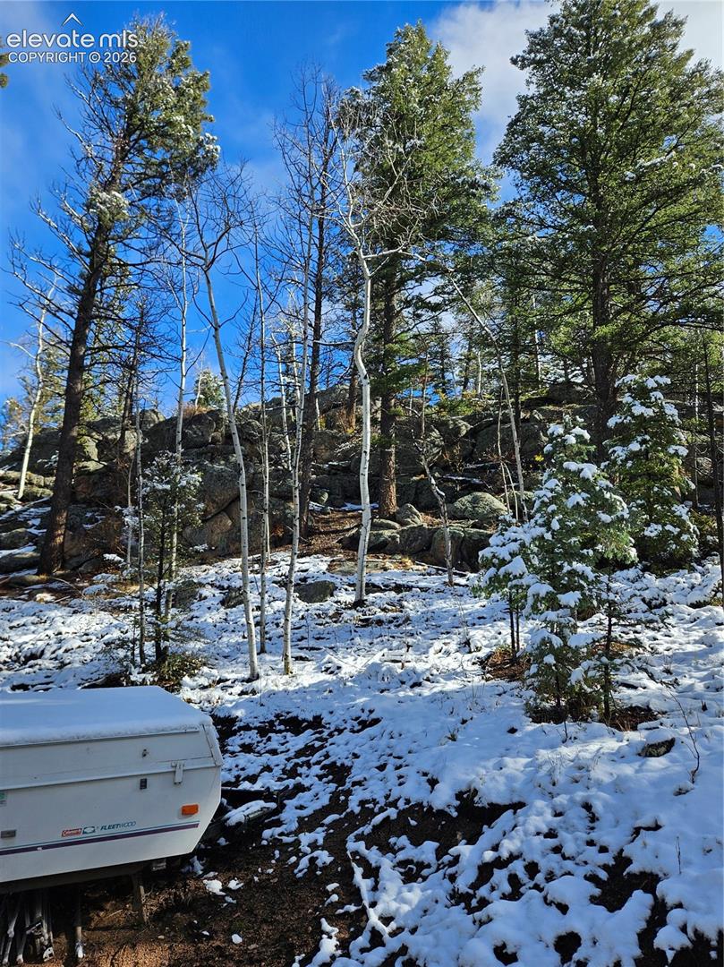 Natural landscape featuring mature pine and aspen trees, large rock outcroppings, and uneven sloping terrain