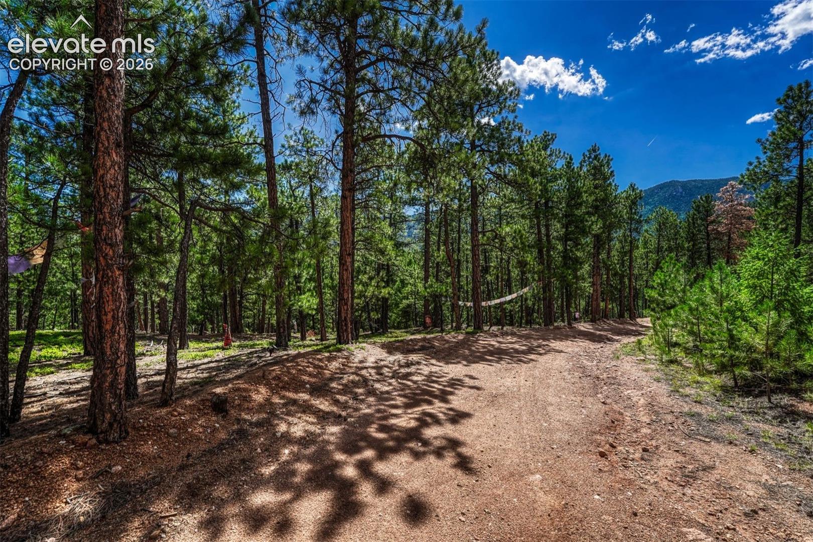 Photo 37 of 3620 Simon Point, Colorado Springs