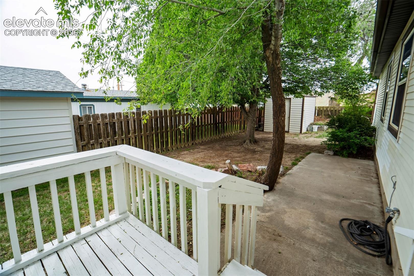 Shaded backyard setting.