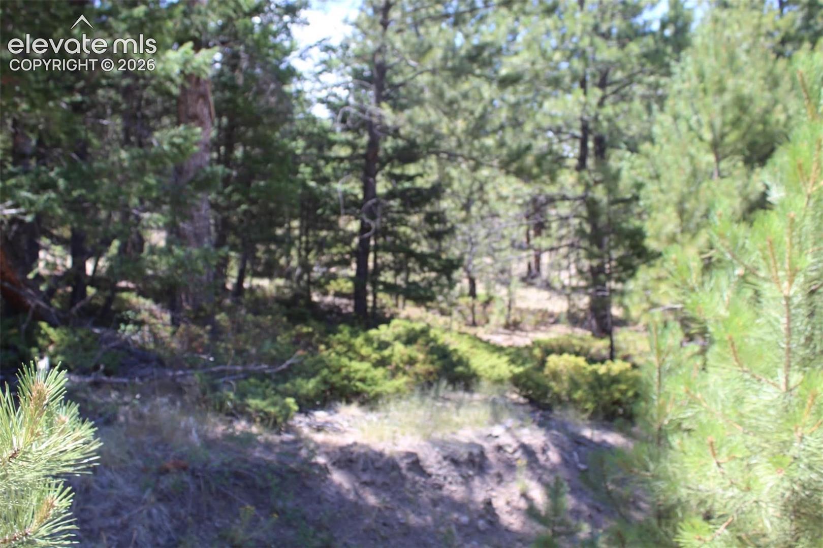 Photo 22 of TBD Tallahassee Lane, Canon City