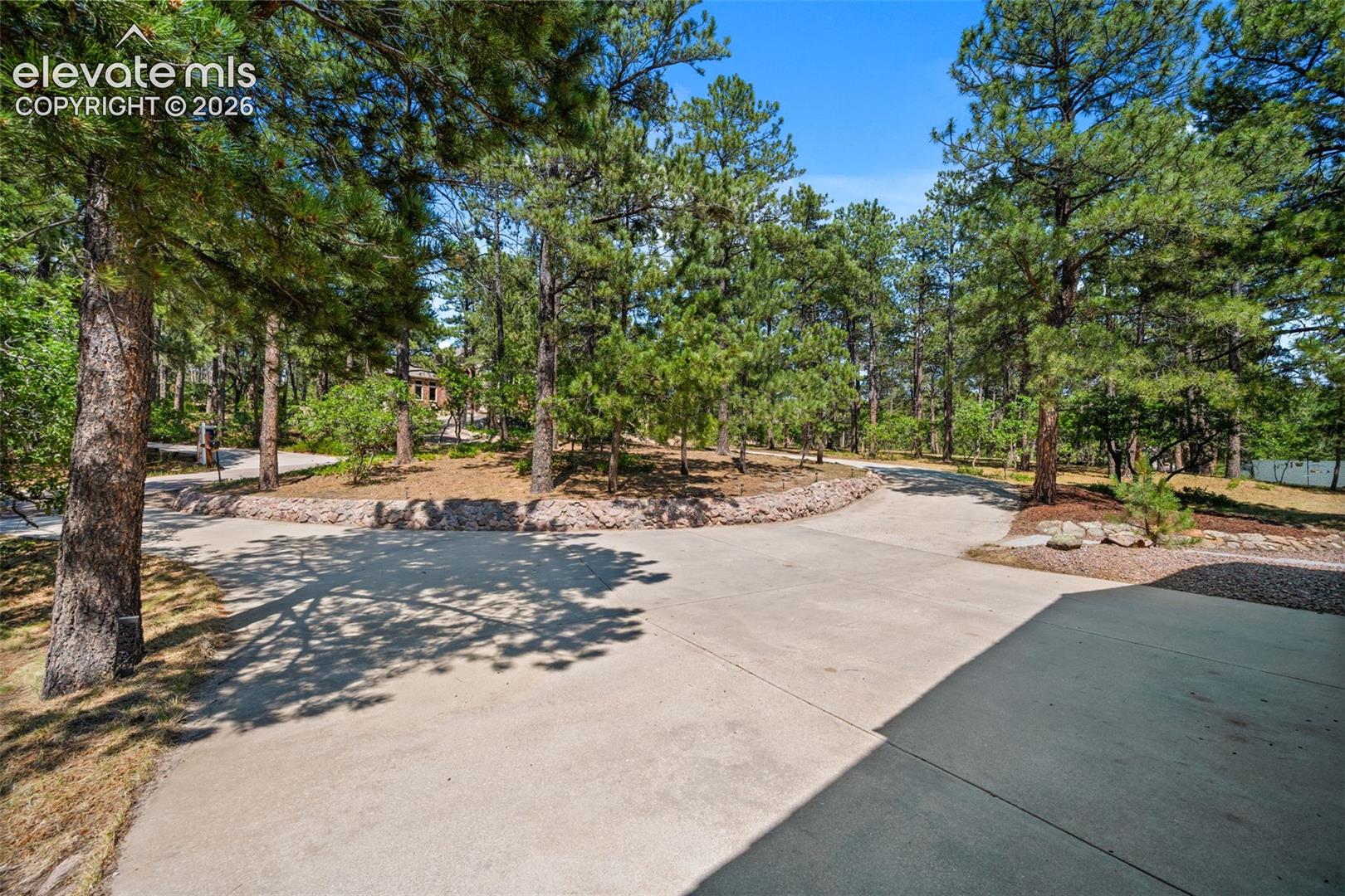 Expansive concrete driveway with mature evergreen trees, lush green foliage, and natural stone landscaping elements