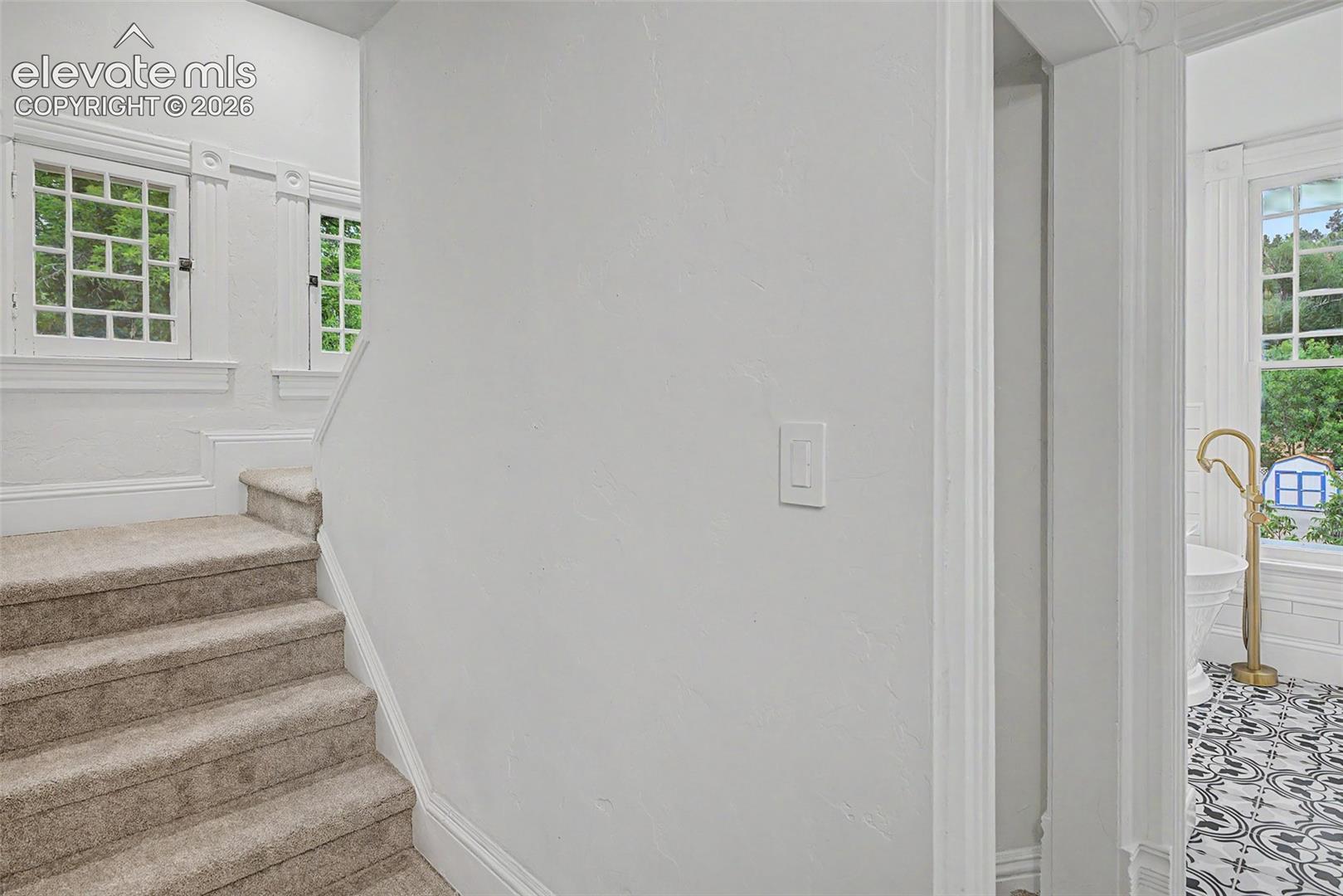 Carpeted staircase with white trim, framed by decorative casement windows