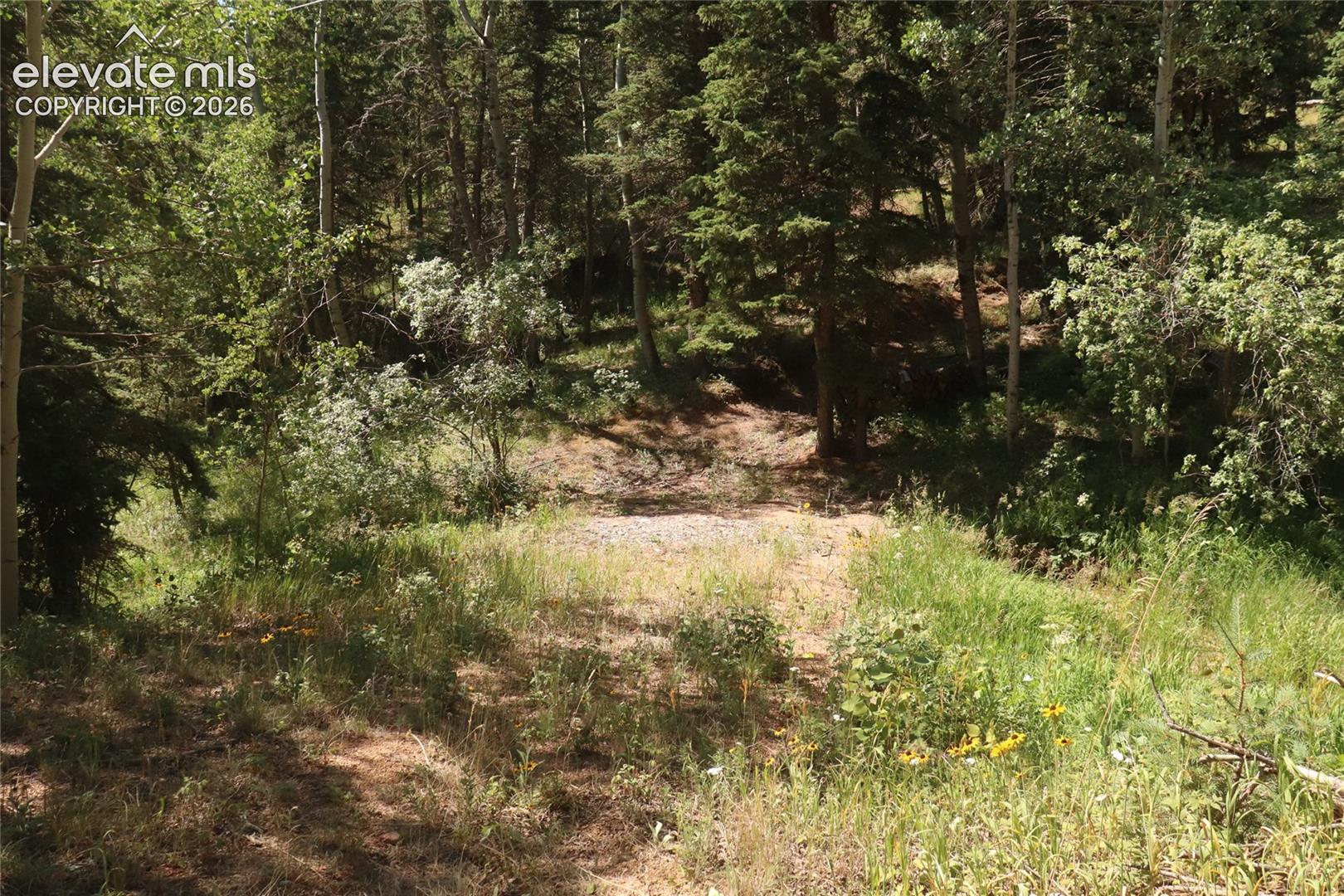 Photo 7 of 286 Coffee Road, Manitou Springs