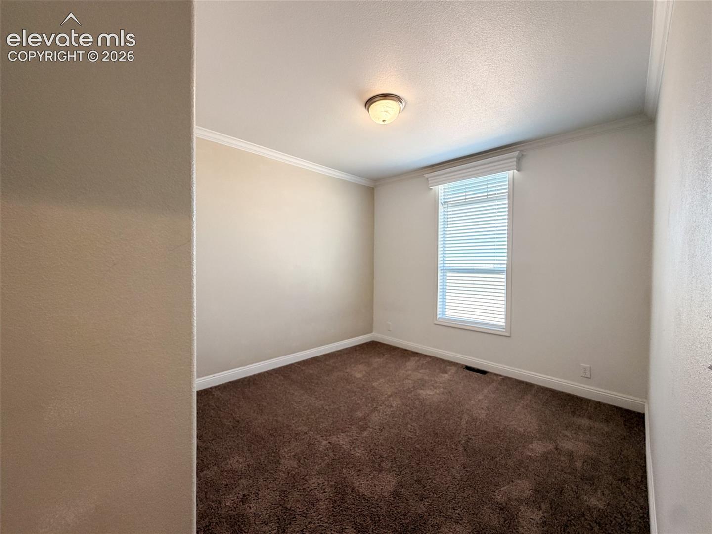 Neutral-toned interior room featuring wall-to-wall carpeting, crown molding, a single window with horizontal blinds, and a central ceiling-mounted light fixture