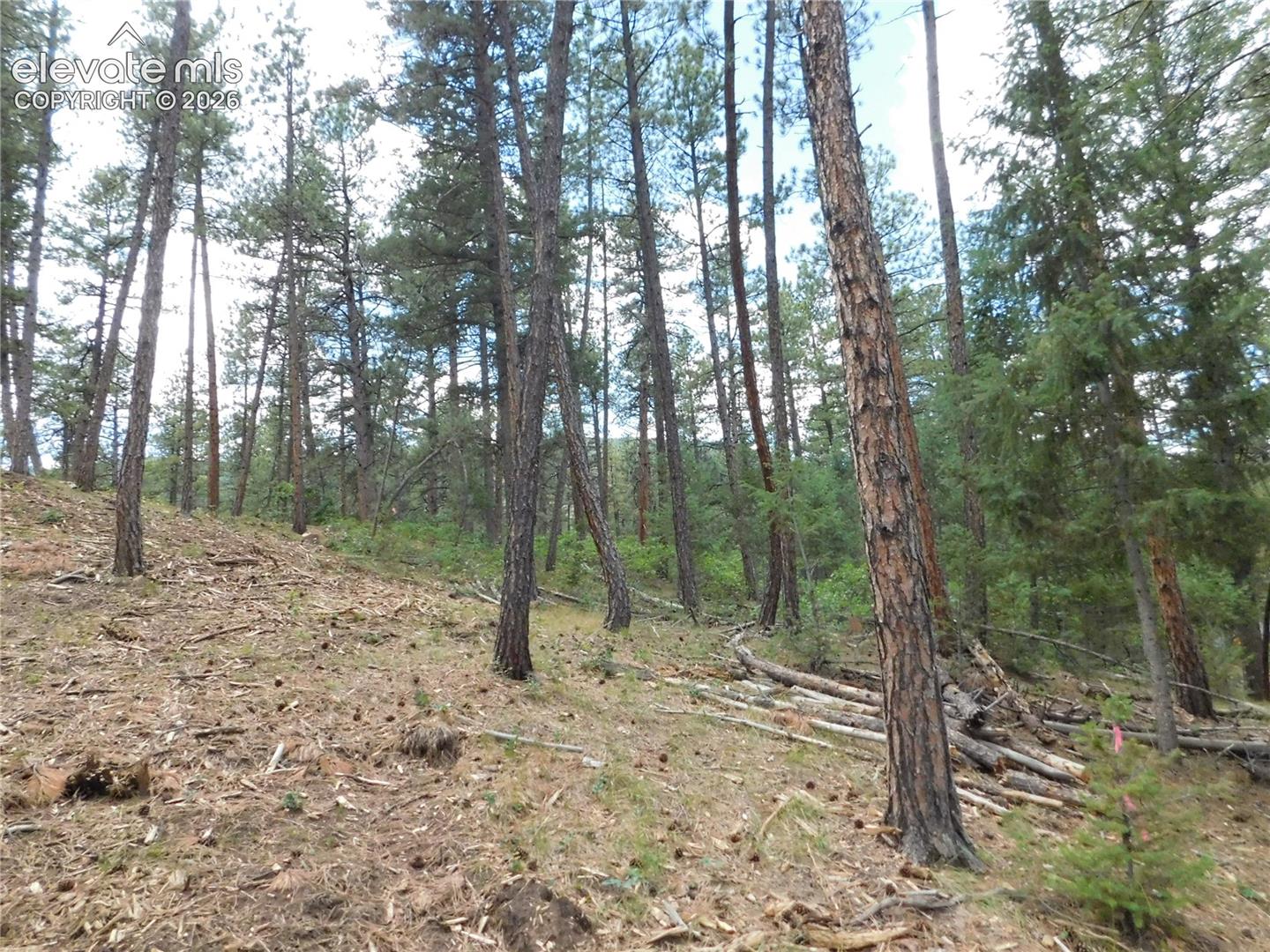 Photo 43 of 8139 Bannock Drive, Larkspur