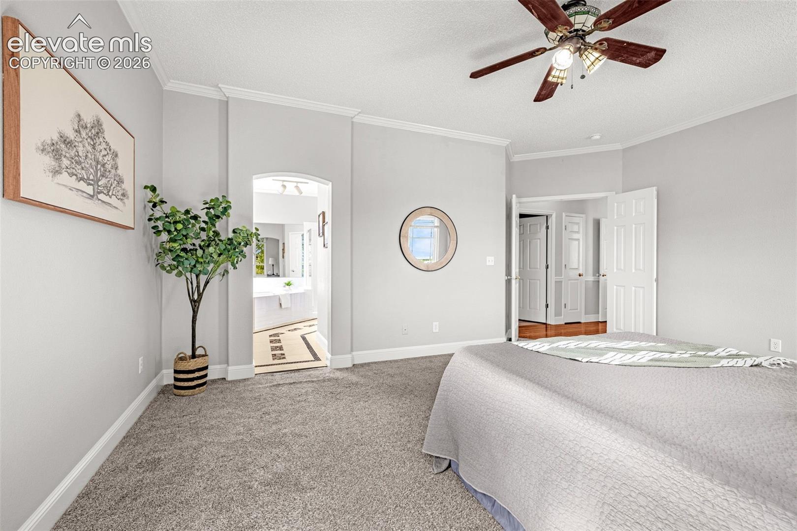 Photo 16 of 9135 Chetwood Drive, Colorado Springs