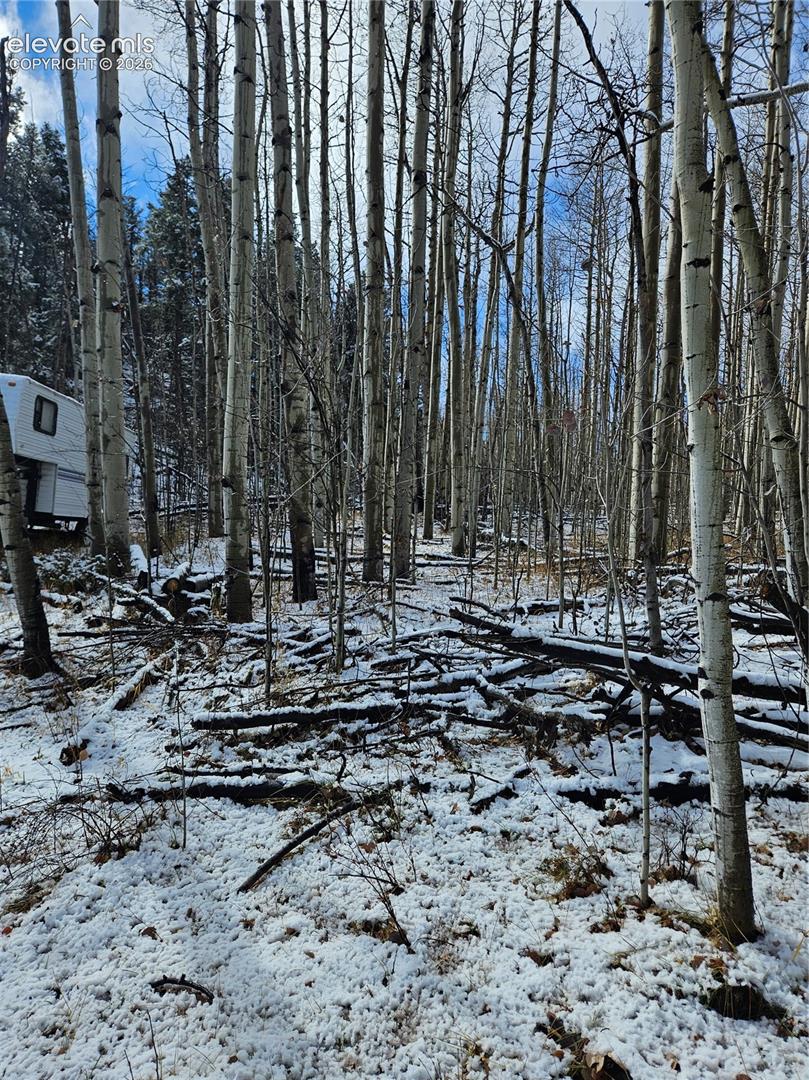 Wooded lot featuring mature aspen trees