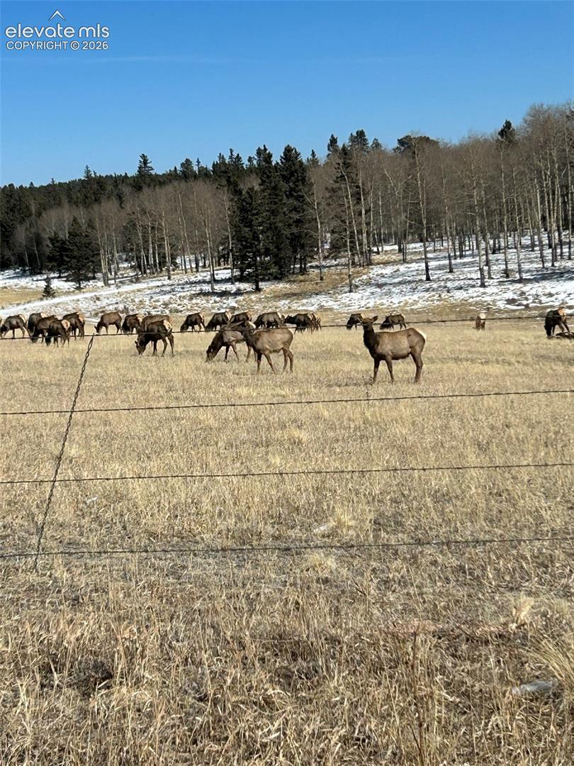Along County Rd 5