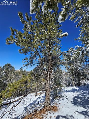 Photo 10 of 829 Princess Road, Cripple Creek