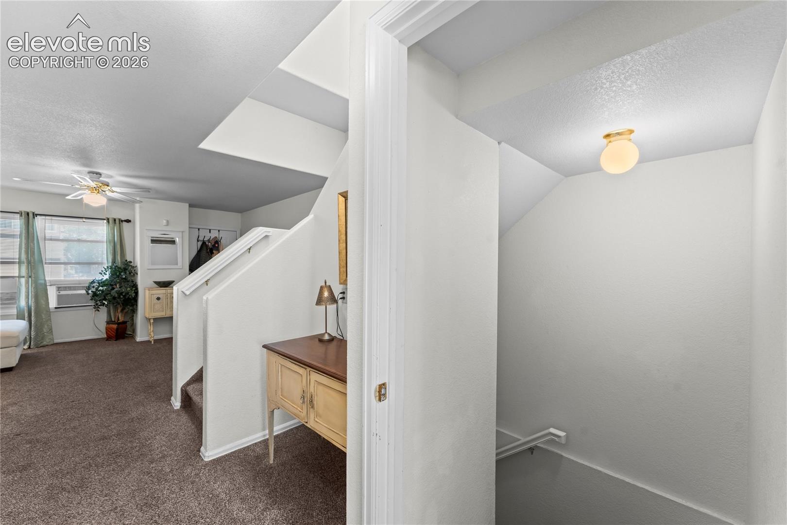 Carpeted flooring, white interior walls, and a ceiling-mounted light fixture