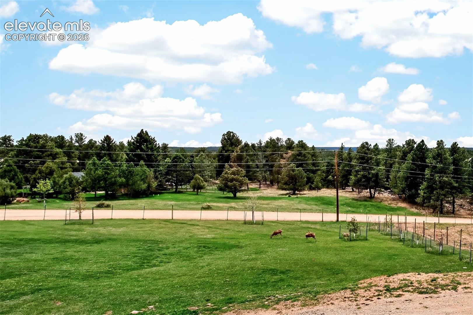 Lush green pastures your horses will love!!!