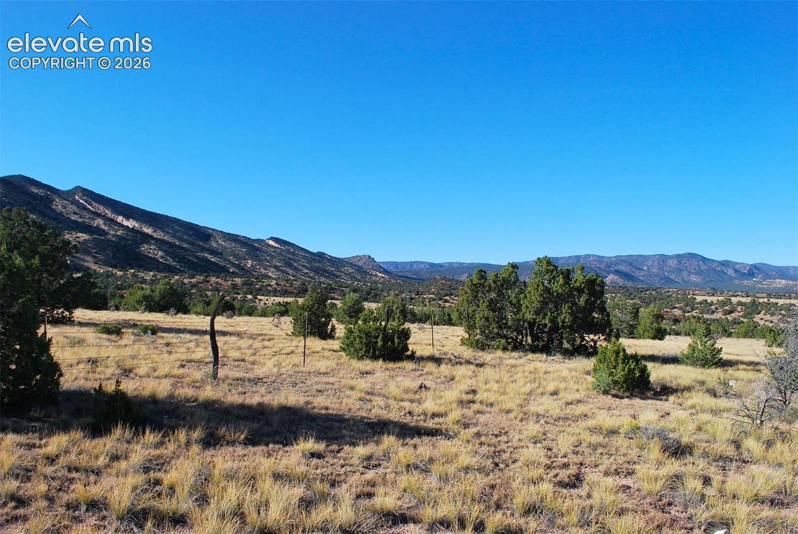 Expansive natural landscape with varied terrain, featuring distant mountains, scattered evergreen trees, and dry native grasses