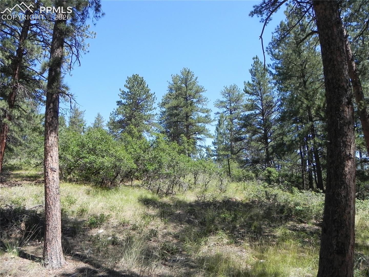 Photo 22 of 4144 Cheyenne Drive, Larkspur