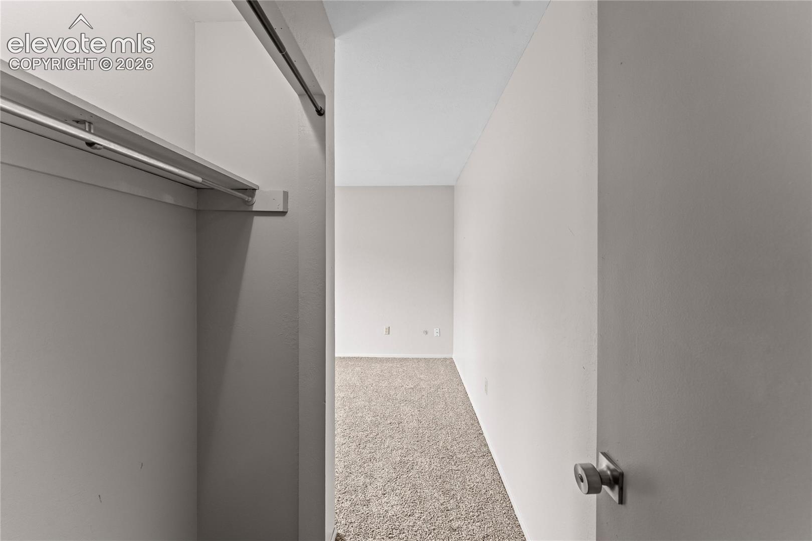 Closet featuring a metal hanging rod and overhead shelving, carpeted flooring, and a flat-panel door with a brushed-finish knob