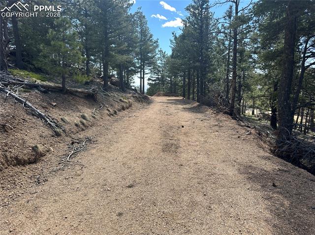 Driveway into Lot