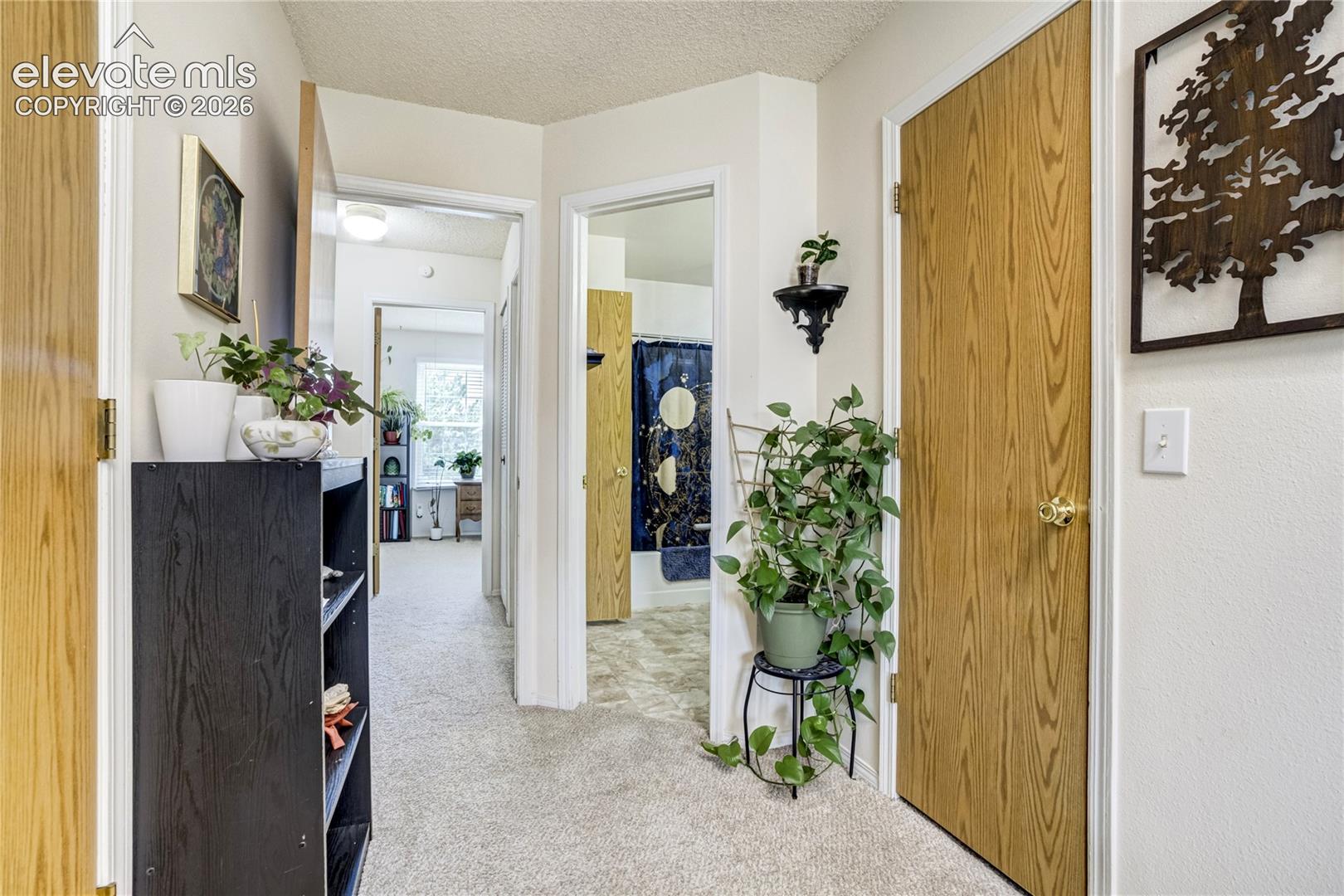 Photo 17 of 3351 Queen Anne Way, Colorado Springs