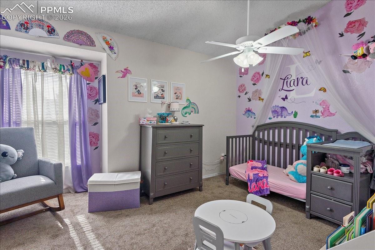 Photo 19 of 4304 Hunting Meadows Circle, Colorado Springs