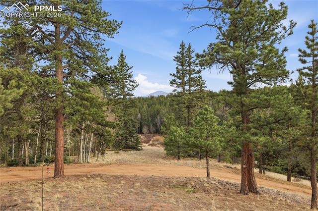 57 Trout Creek Cir, Divide, CO 80814