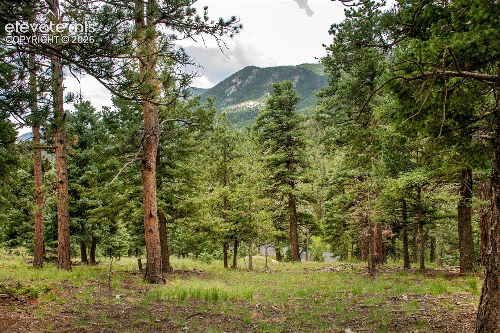 266 Aspen Ridge Rd, Manitou Springs, CO 80829