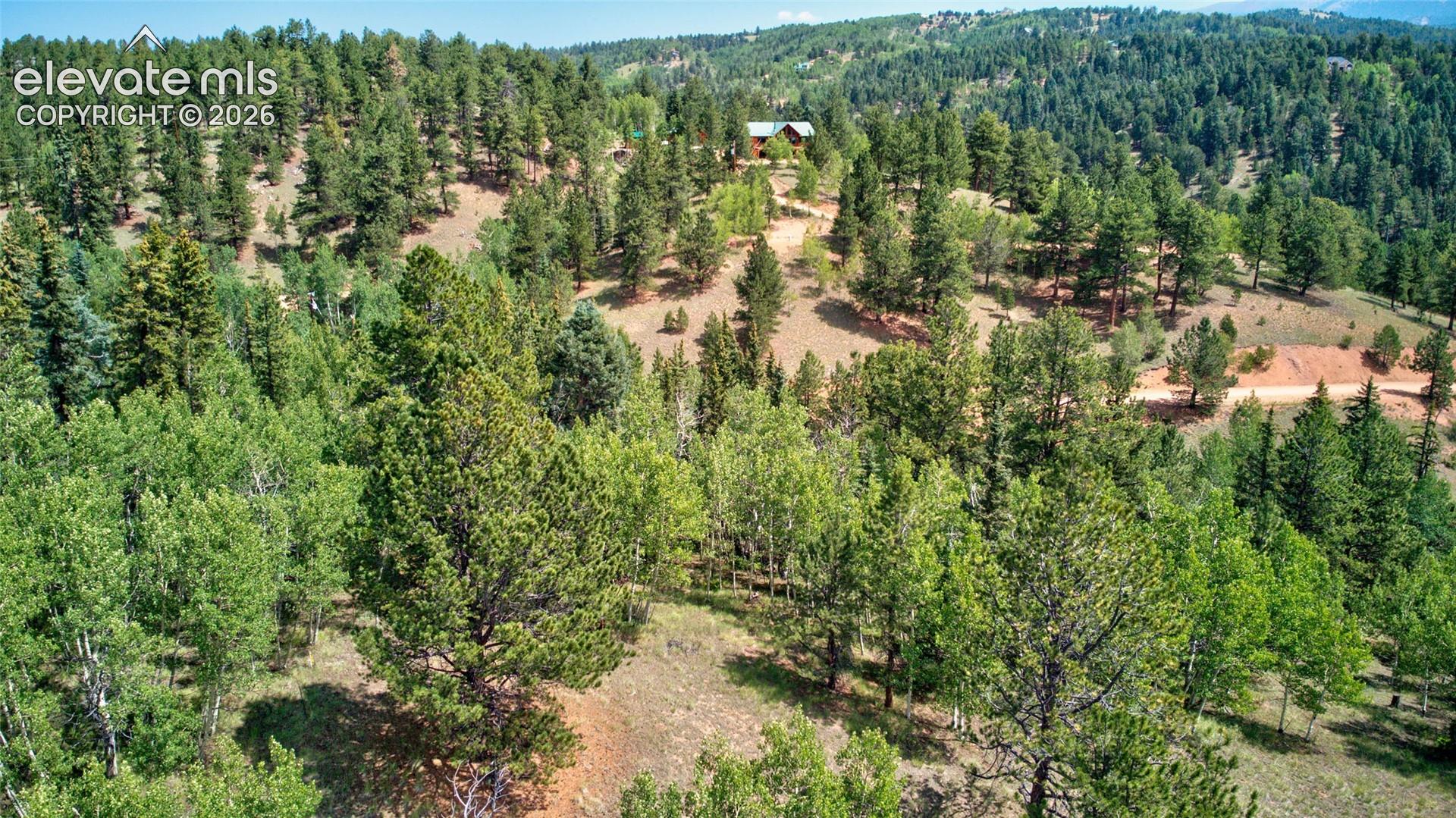 Photo 7 of 158 Rattler Court, Cripple Creek