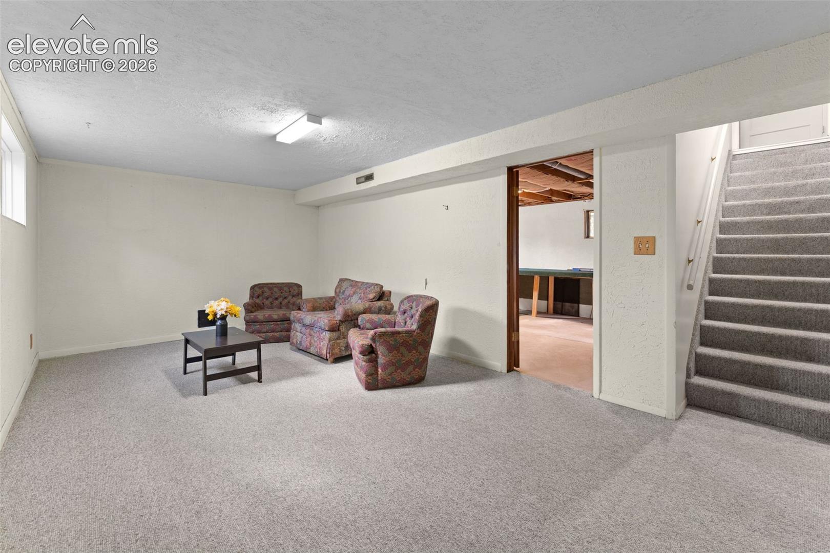 Finished lower level with light-toned carpeting and overhead lighting