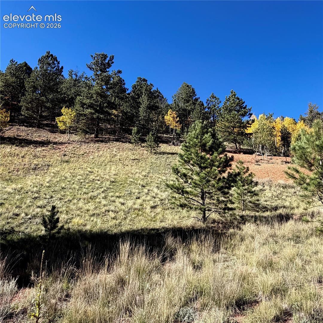 Photo 8 of 200 Beaver Pond Road, Divide