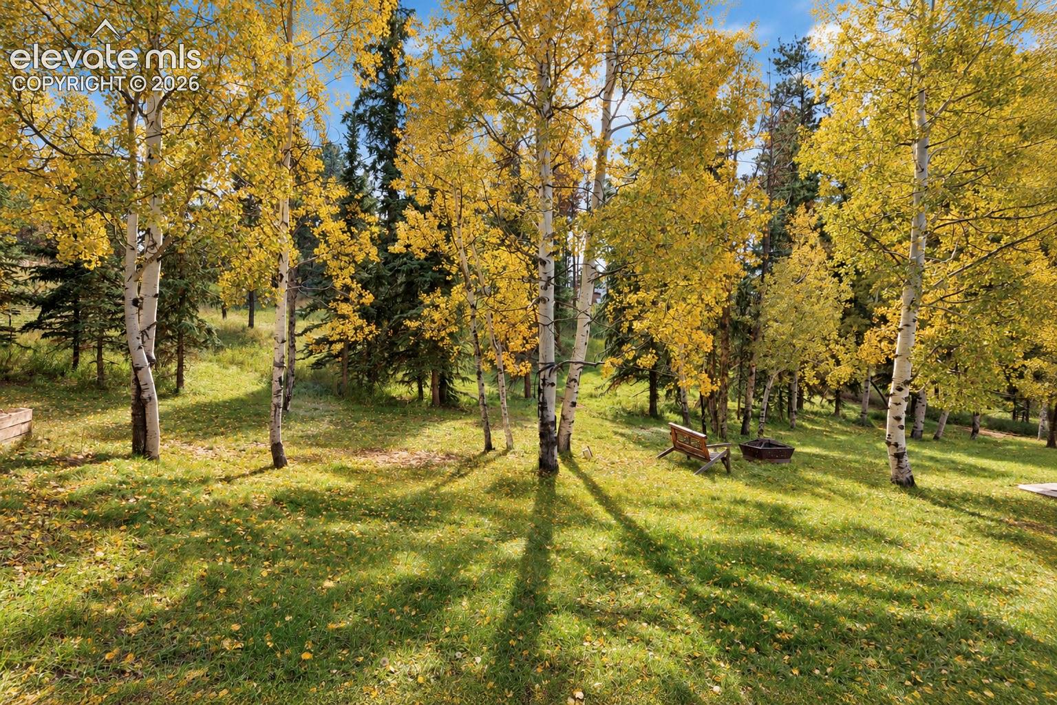 Expansive green lawn with mature deciduous trees and evergreen trees