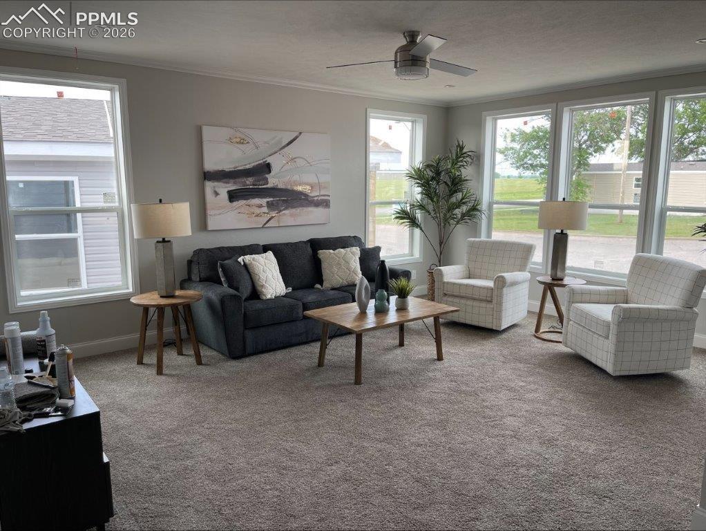 812 Iowa Ave, Colorado Springs, CO 80909