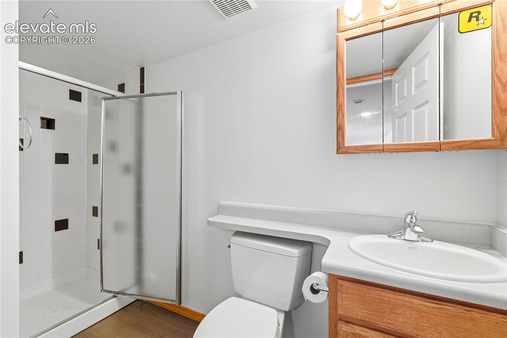 Walk-in shower with opaque glass door