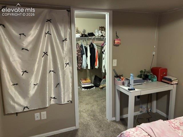 Walk-in closet featuring wire shelving and neutral carpeting