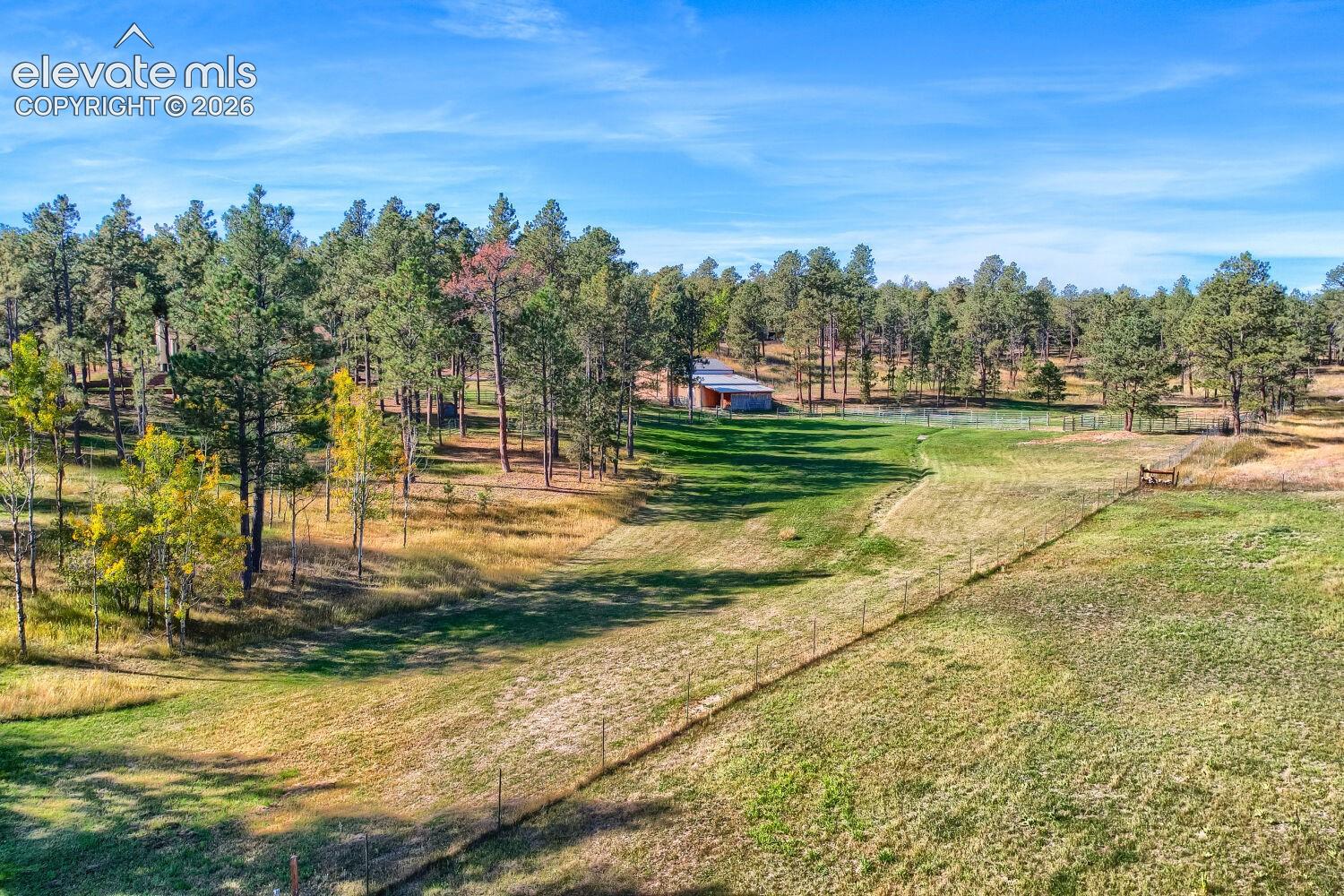 Expansive acreage featuring established evergreen and deciduous trees, open grassy areas, and a fenced perimeter