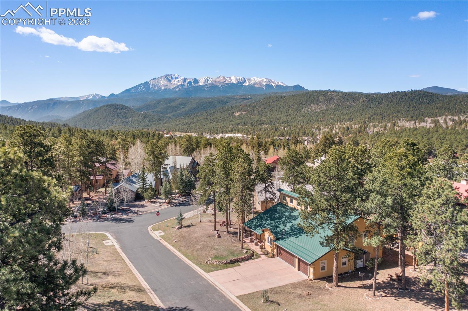311 Panther Ct, Woodland Park, CO 80863