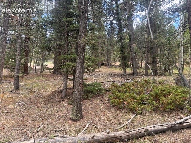 687 Trout Haven Rd, Florissant, CO 80816