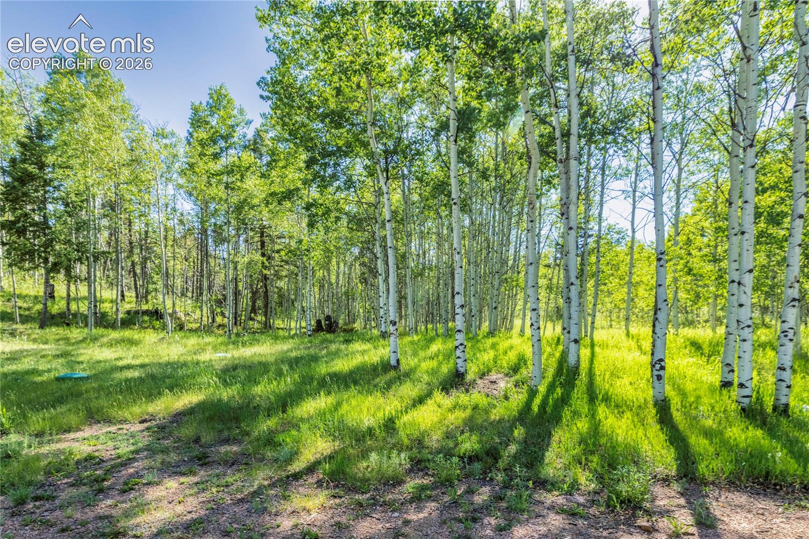 173 Deerview Dr, Florissant, CO 80816