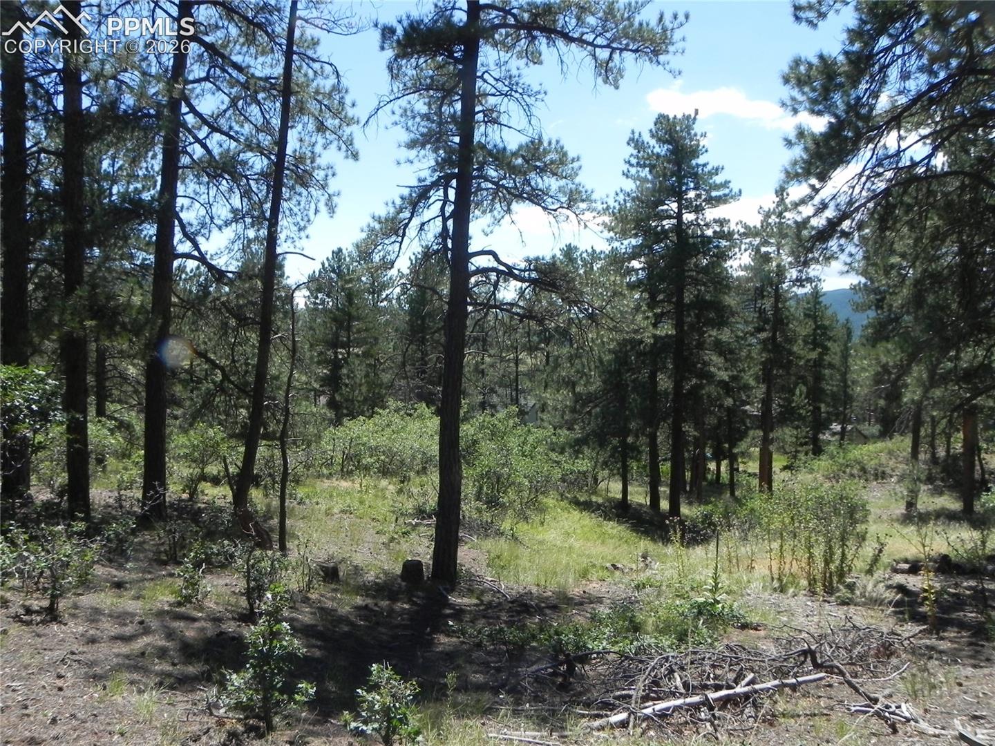 Photo 18 of 4144 Cheyenne Drive, Larkspur
