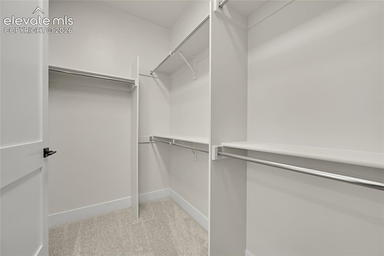 Walk-in closet featuring light-toned carpet, white baseboards, a white interior door with matte black hardware, and multiple shelving and hanging rod configurations