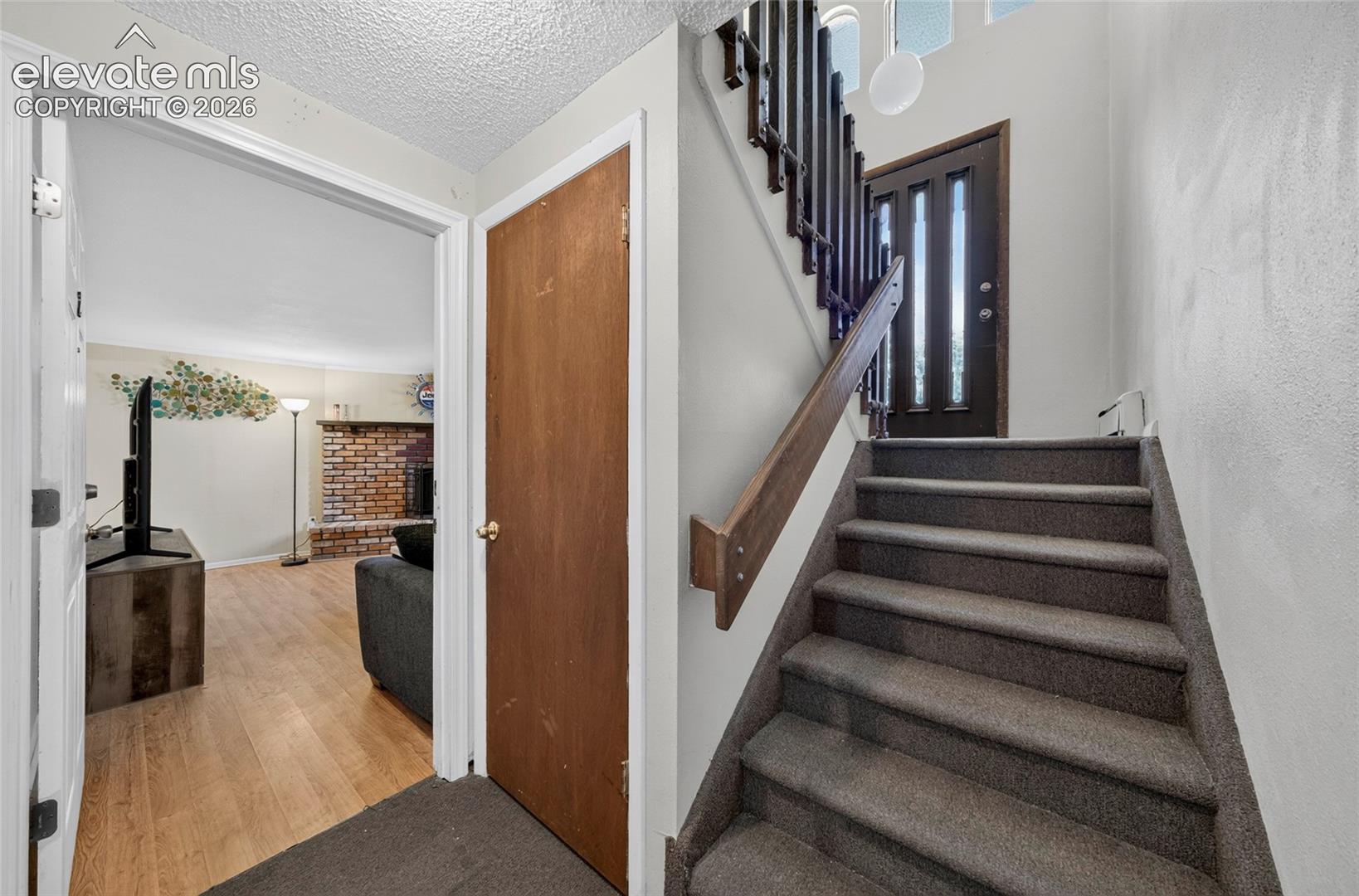 Entryway featuring a solid dark-finish entry door with vertical glass panels, staircase with a wood handrail, and carpeted treads