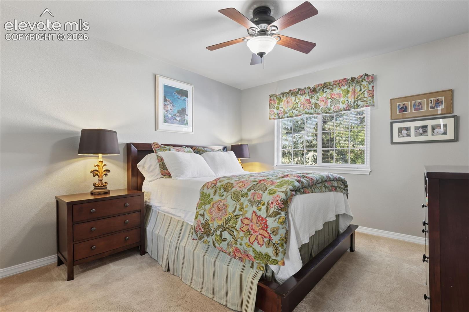 Photo 34 of 4122 San Felice Point, Colorado Springs