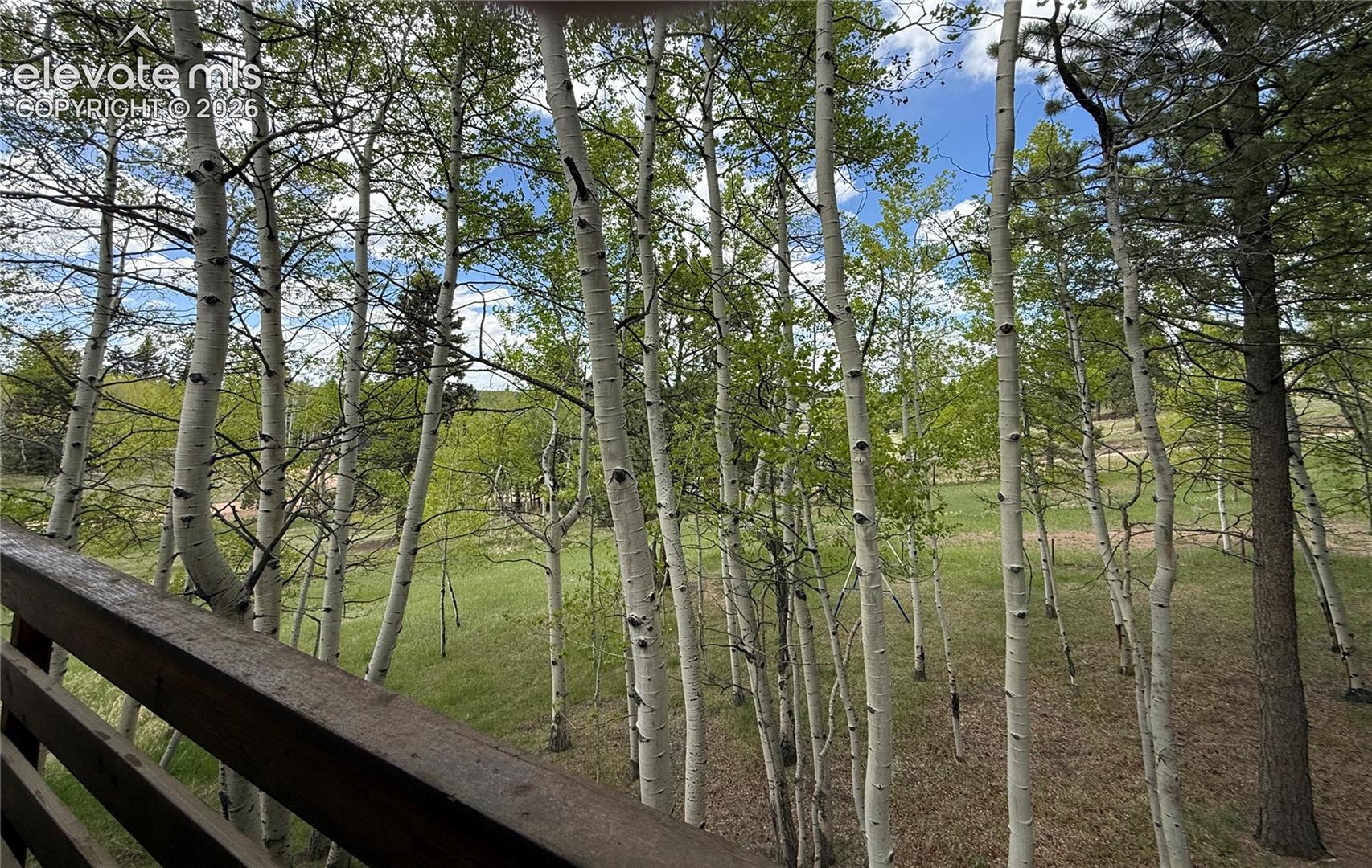 View of Aspen Grove